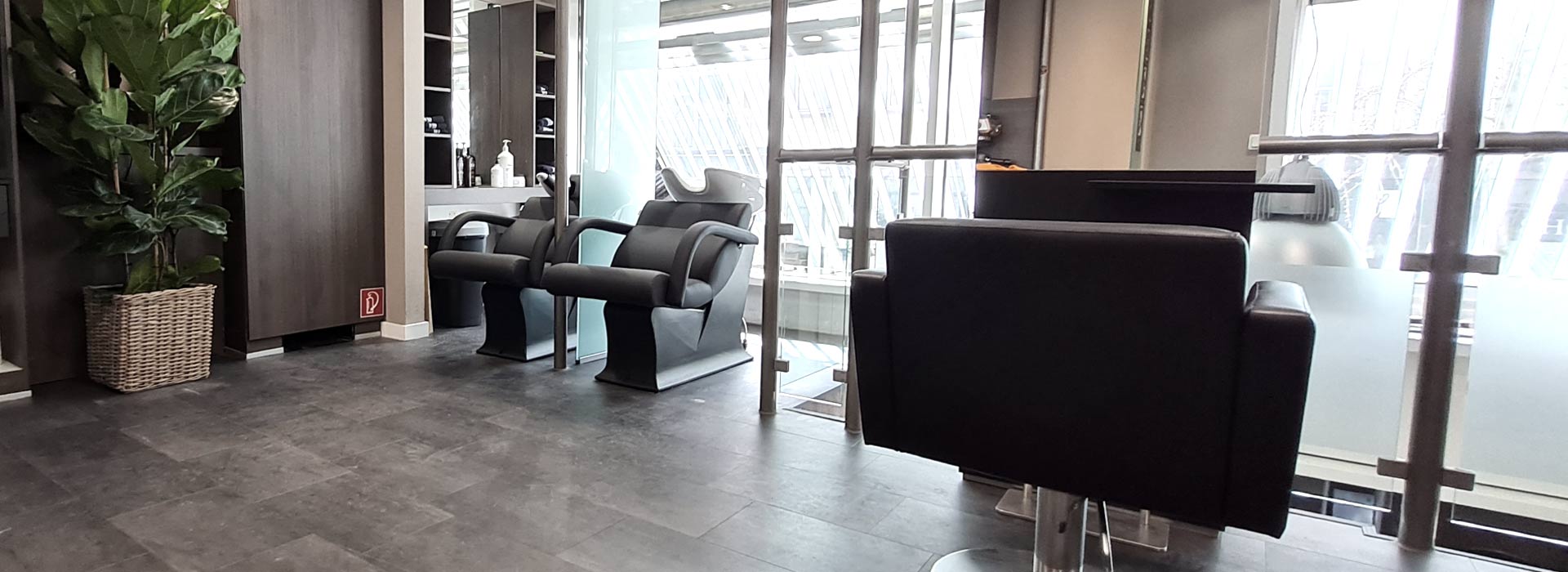 imagehairgroup - Bild 01